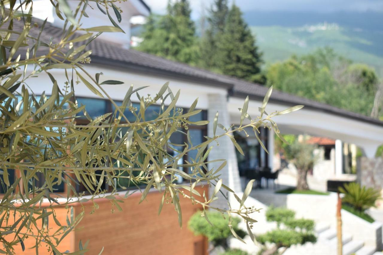 Chateau Linza Resort Tirana Zewnętrze zdjęcie