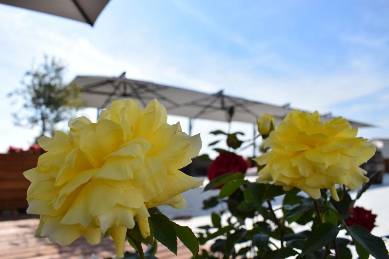Chateau Linza Resort Tirana Zewnętrze zdjęcie