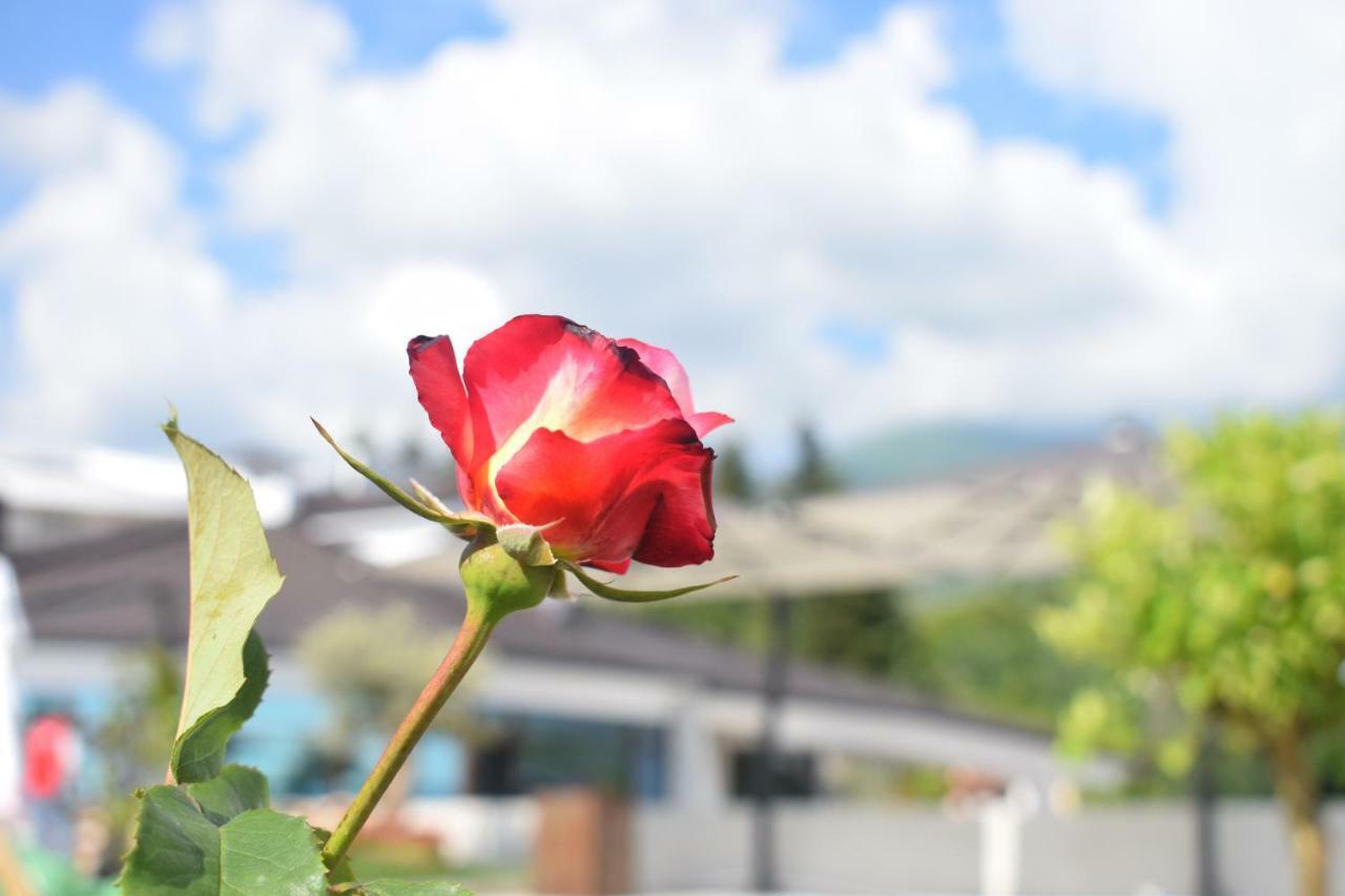 Chateau Linza Resort Tirana Zewnętrze zdjęcie